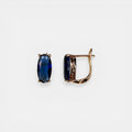 18k Gold Plated Earrings